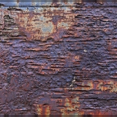 Coque rouillée
